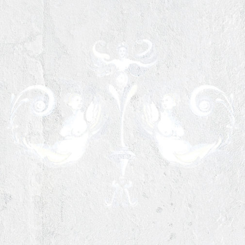 NINFEE PARK AVENUE 2018